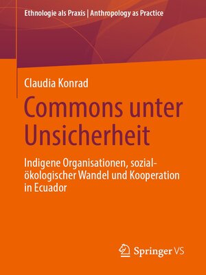 cover image of Commons unter Unsicherheit